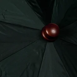 Maglia Gruner Teleskopschirm Mit Holzgriff* Regenschirme